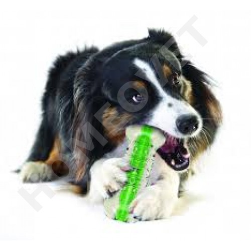 petstages crunchcore bone dog toy